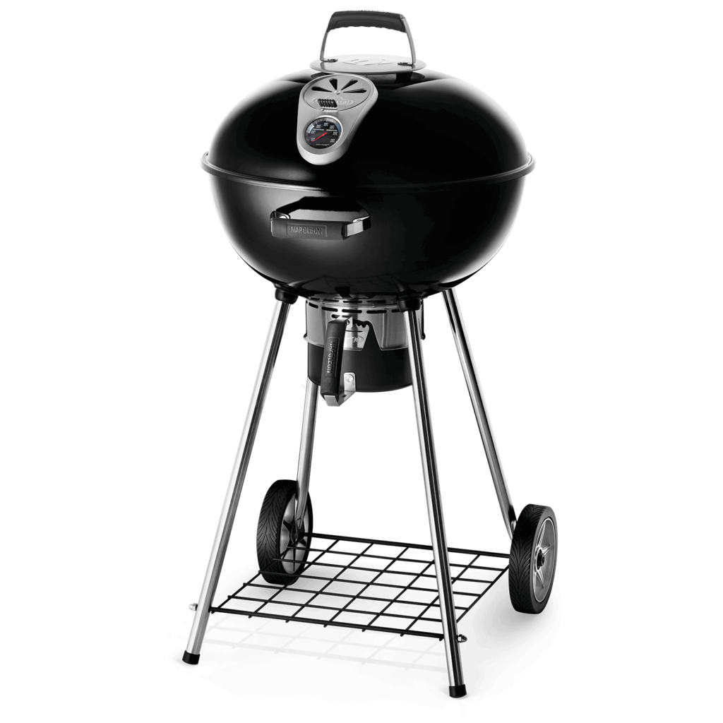 Napoleon Charcoal Grills Accent Fireplace Gallery