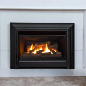 Valor G3 Classic Gas Insert