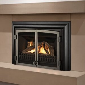 Valor G3 Gas Insert