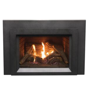 Pacific Energy Tofino I20 Gas Fireplace